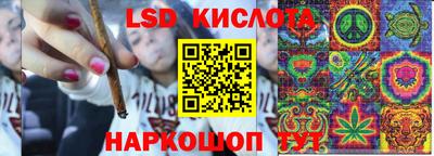jwh Сланцы